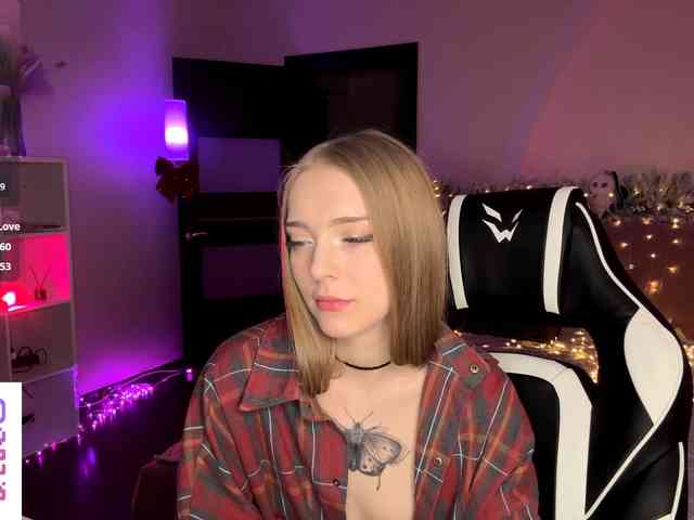 VersieBruegman webcam