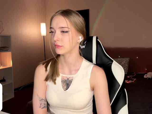 VersieBruegman webcam