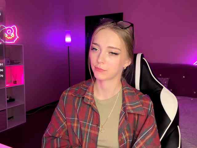 VersieBruegman webcam