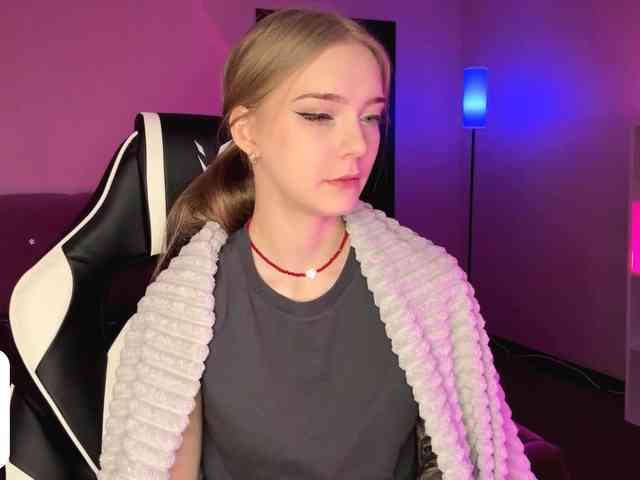 VersieBruegman webcam