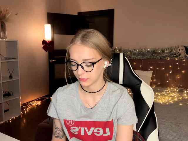 VersieBruegman webcam