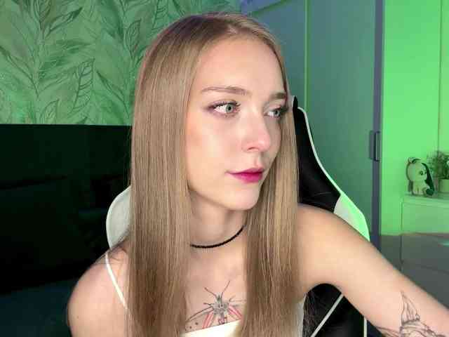 VersieBruegman webcam