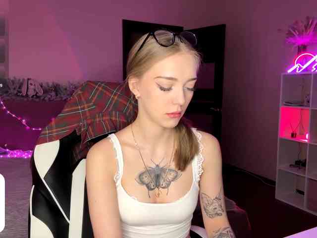 VersieBruegman webcam