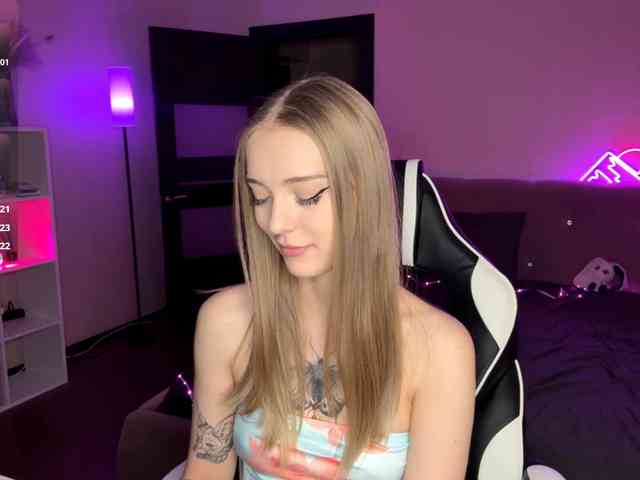 VersieBruegman webcam