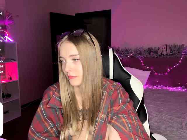 VersieBruegman webcam