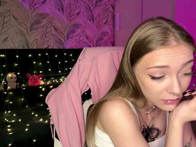 VersieBruegman webcam