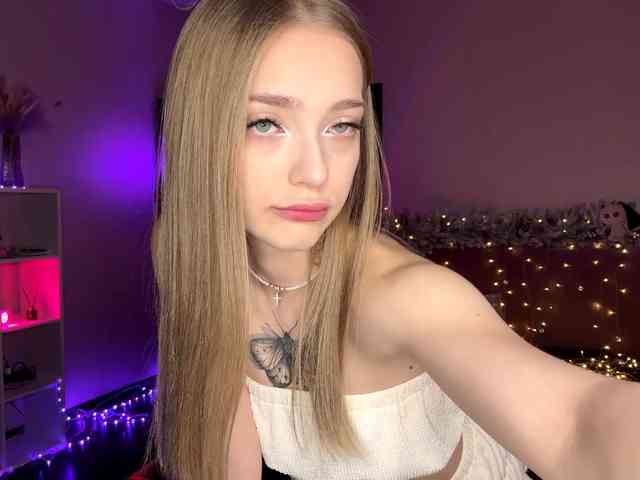 VersieBruegman webcam