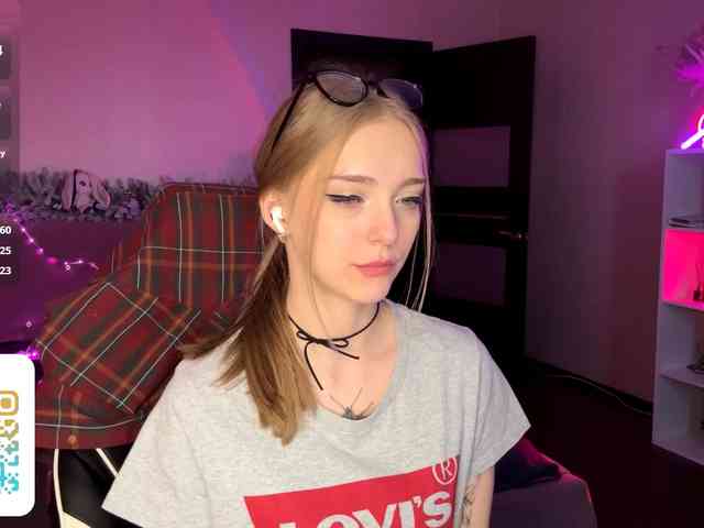 VersieBruegman webcam