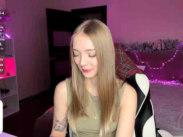 VersieBruegman webcam