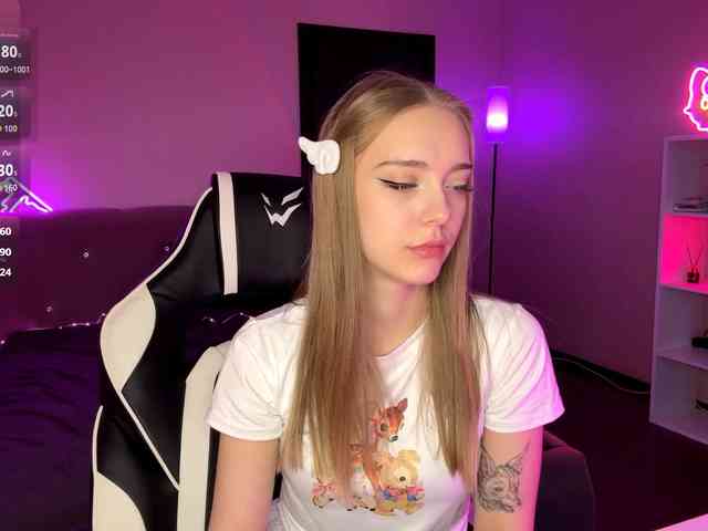 VersieBruegman webcam