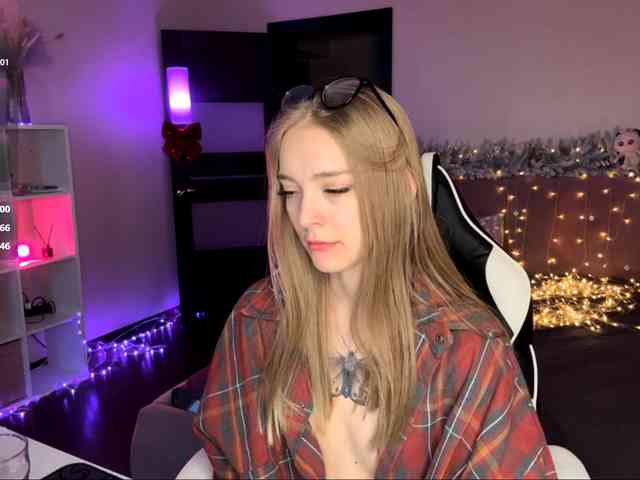 VersieBruegman webcam