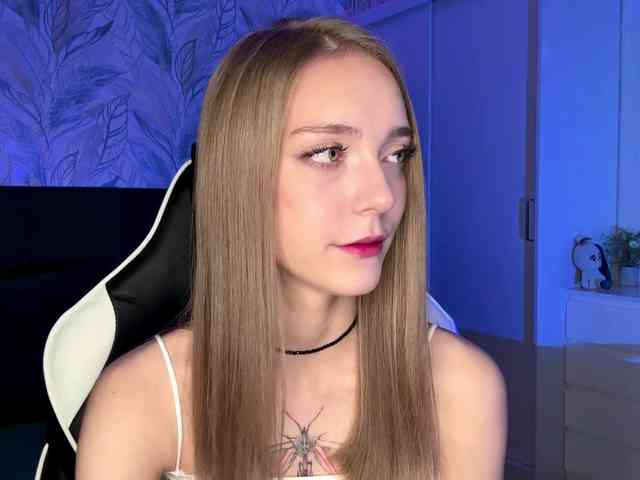 VersieBruegman webcam