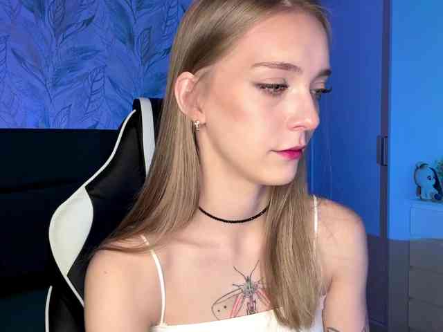 VersieBruegman webcam