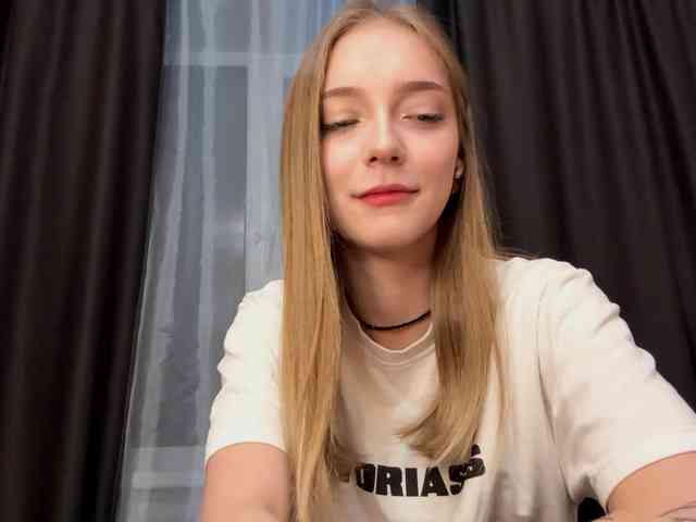 VersieBruegman webcam