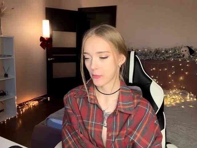 VersieBruegman webcam