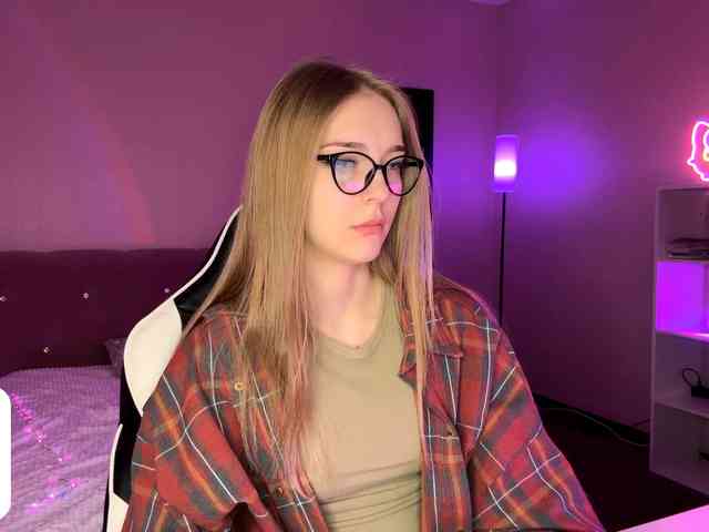 VersieBruegman webcam