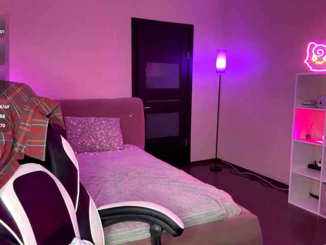 VersieBruegman webcam