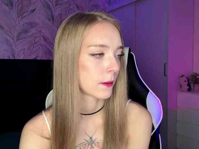 VersieBruegman webcam