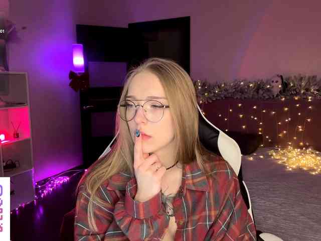 VersieBruegman webcam