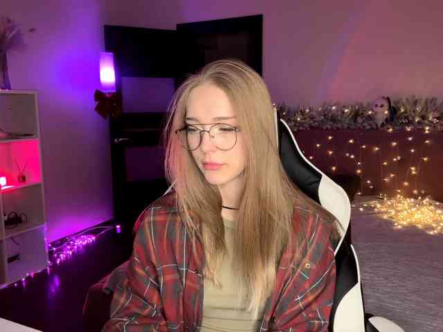 VersieBruegman webcam