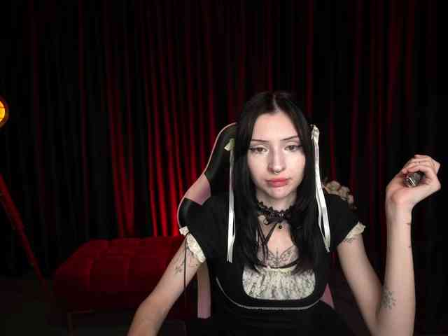 TrixVoid webcam