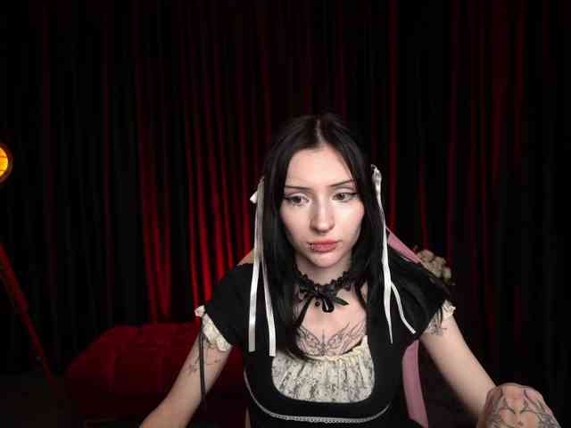 TrixVoid webcam