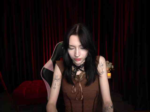 TrixVoid webcam