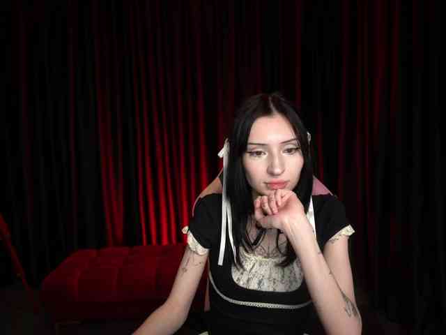 TrixVoid webcam