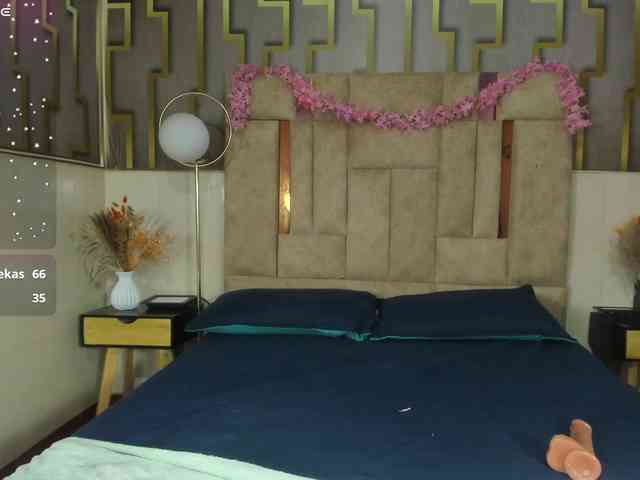 lis-rouse webcam