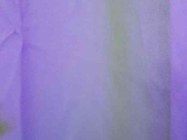 alix-kitty alix-kitty