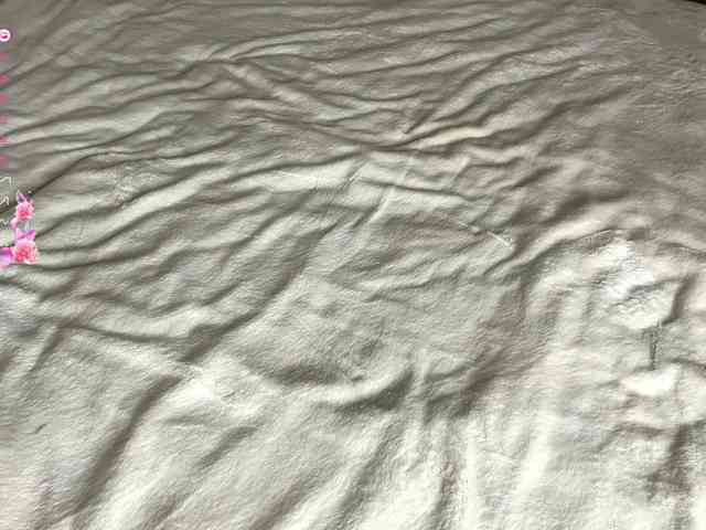 DennaEffinger webcam