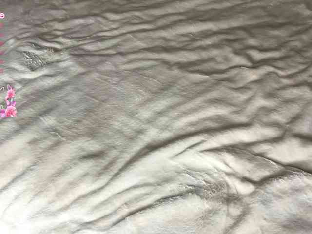 DennaEffinger webcam