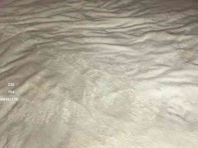 DennaEffinger webcam