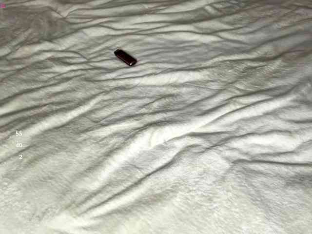 DennaEffinger webcam