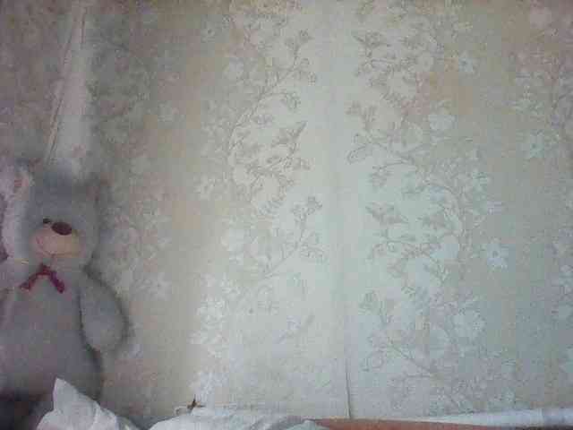 RomeoJayHarper webcam