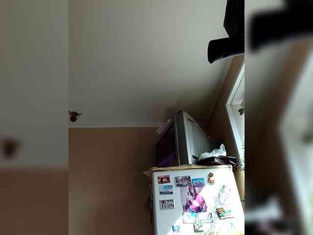 Klon19820704 Klon19820704