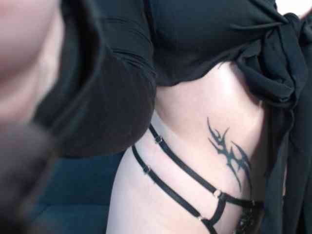 alter3566 webcam