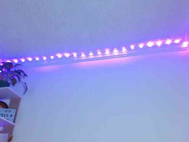 Medussa333 Medussa333