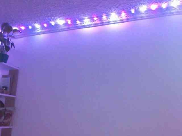 Medussa333 Medussa333