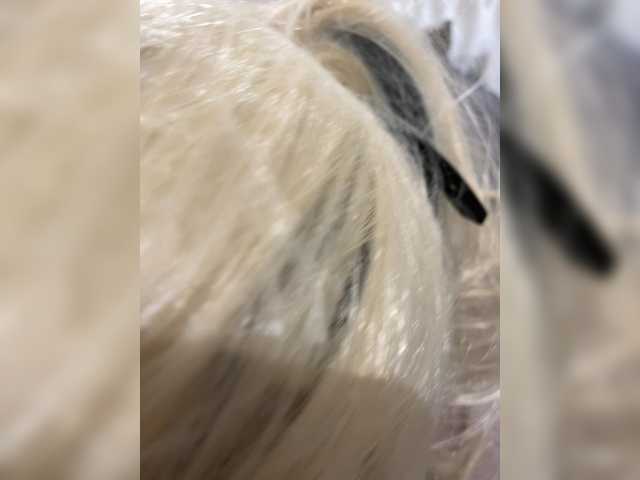 Adellove