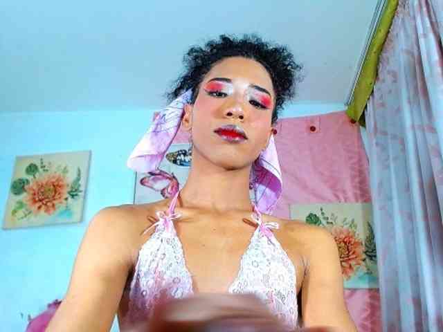 barbie-partytrans