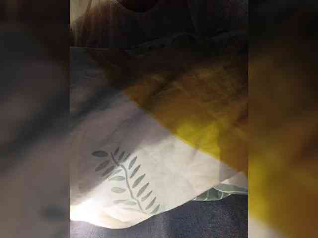 Bonnie777Clyde webcam