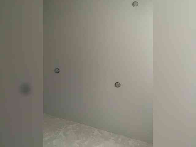 dina2204 webcam