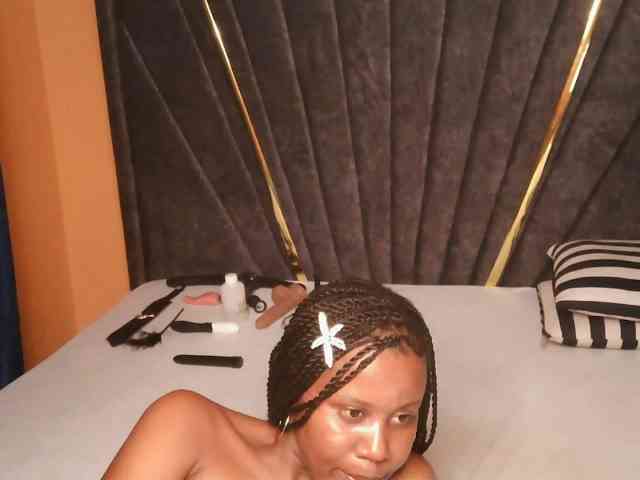 SilkyTouchB webcam