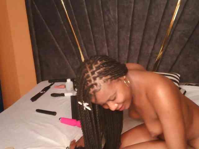 SilkyTouchB webcam