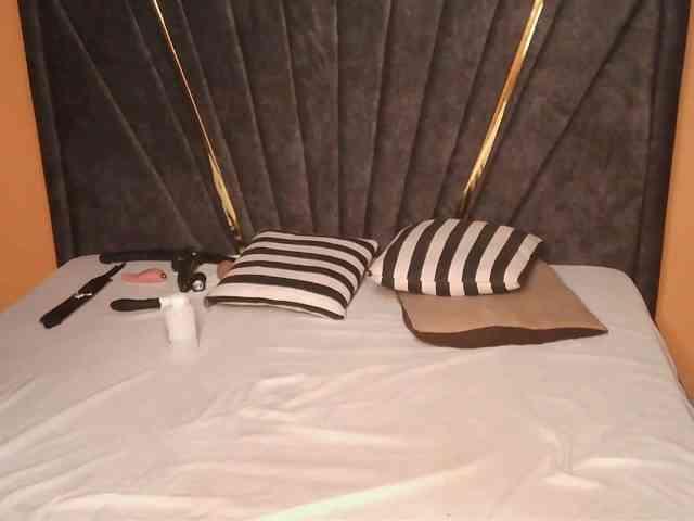SilkyTouchB webcam