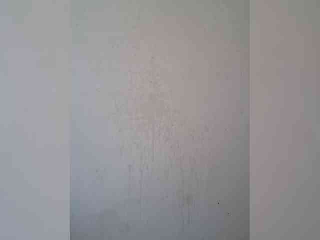 GlobeTrottieHottie1 webcam