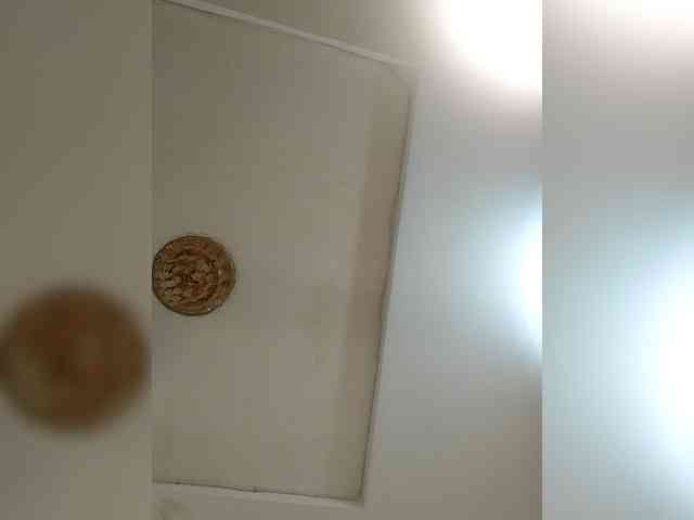 GlobeTrottieHottie1 webcam