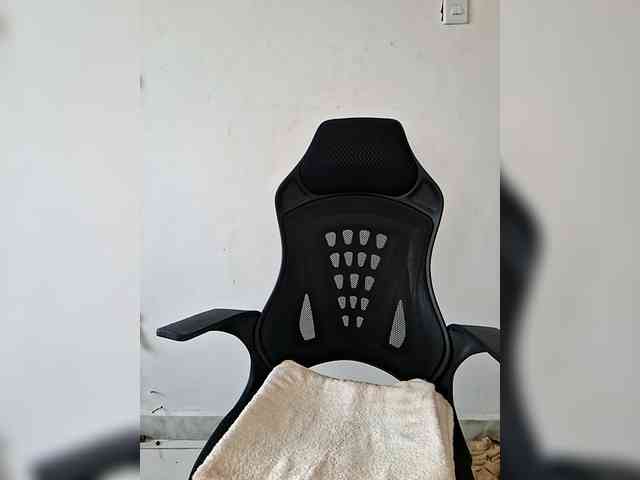 GlobeTrottieHottie1 webcam