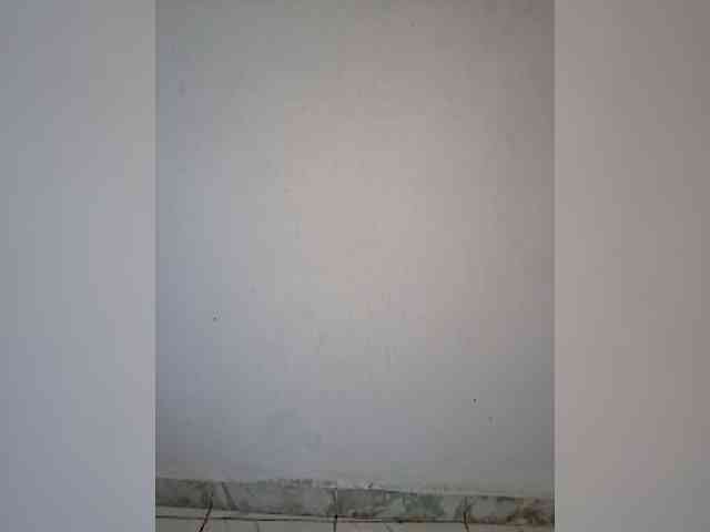 GlobeTrottieHottie1 webcam